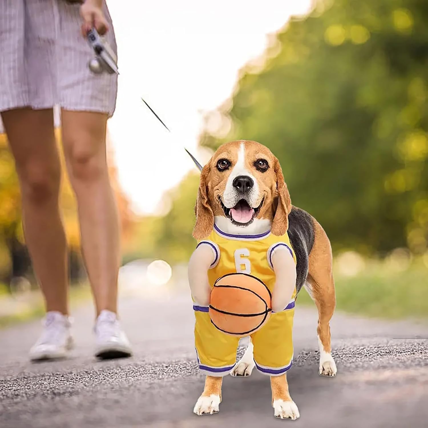 Dog Basketball Player Costume β Funny Sports Halloween Outfit