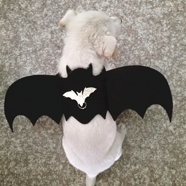 Halloween Bat Wings for Dogs & Cats – Bat Wing Chest Strap