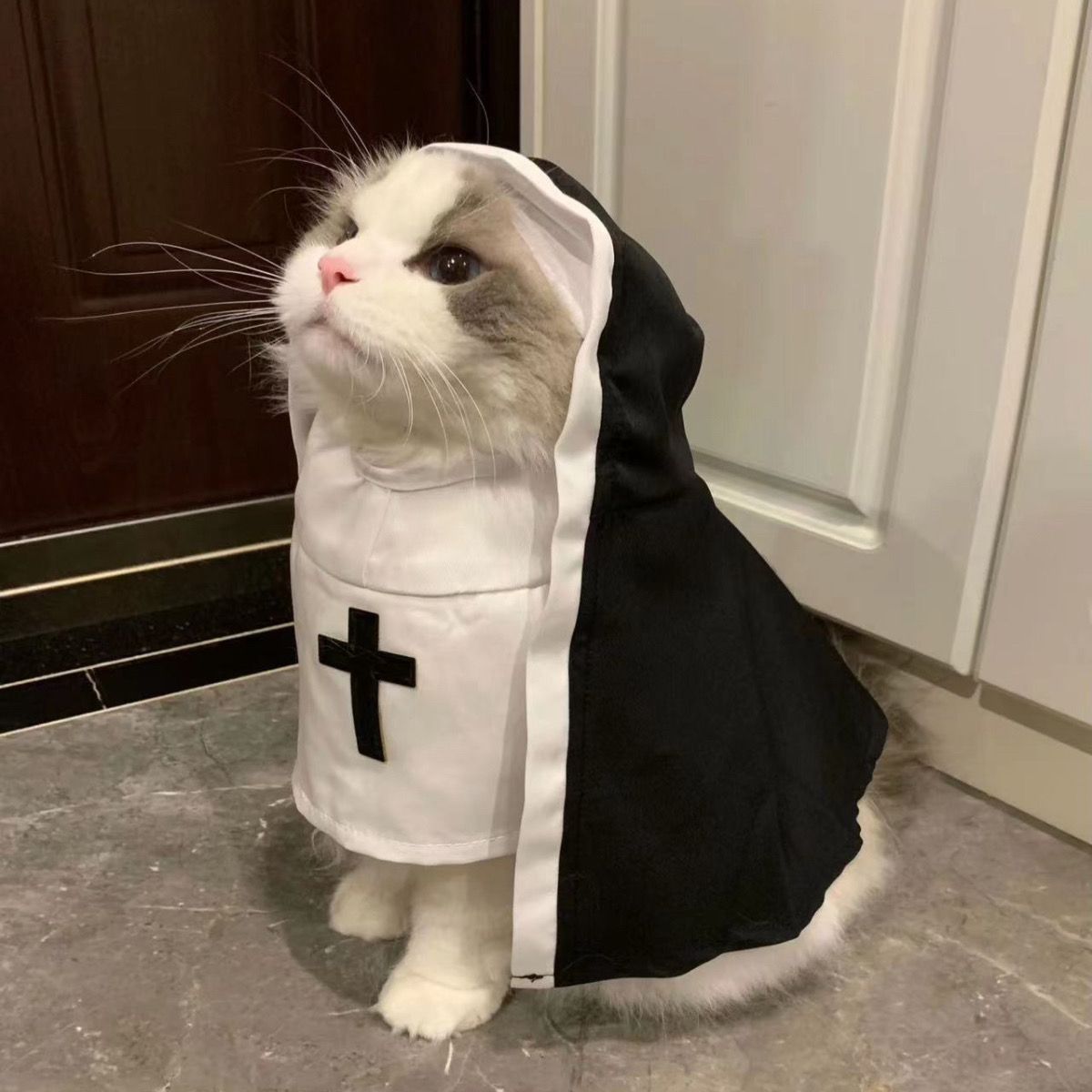Nun Dog Costume – Black & White Halloween Cosplay Outfit