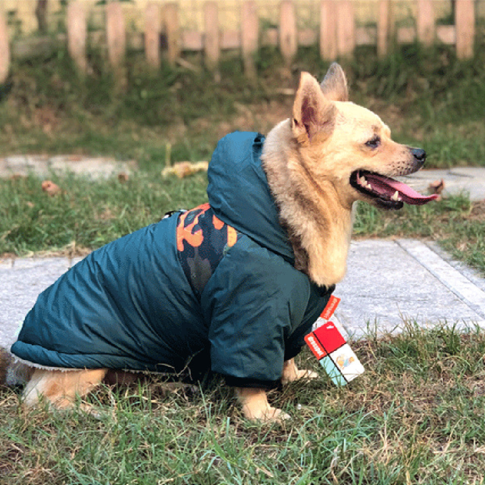 Warm Cotton Pet Coat – Cozy Winter Jacket for Dogs