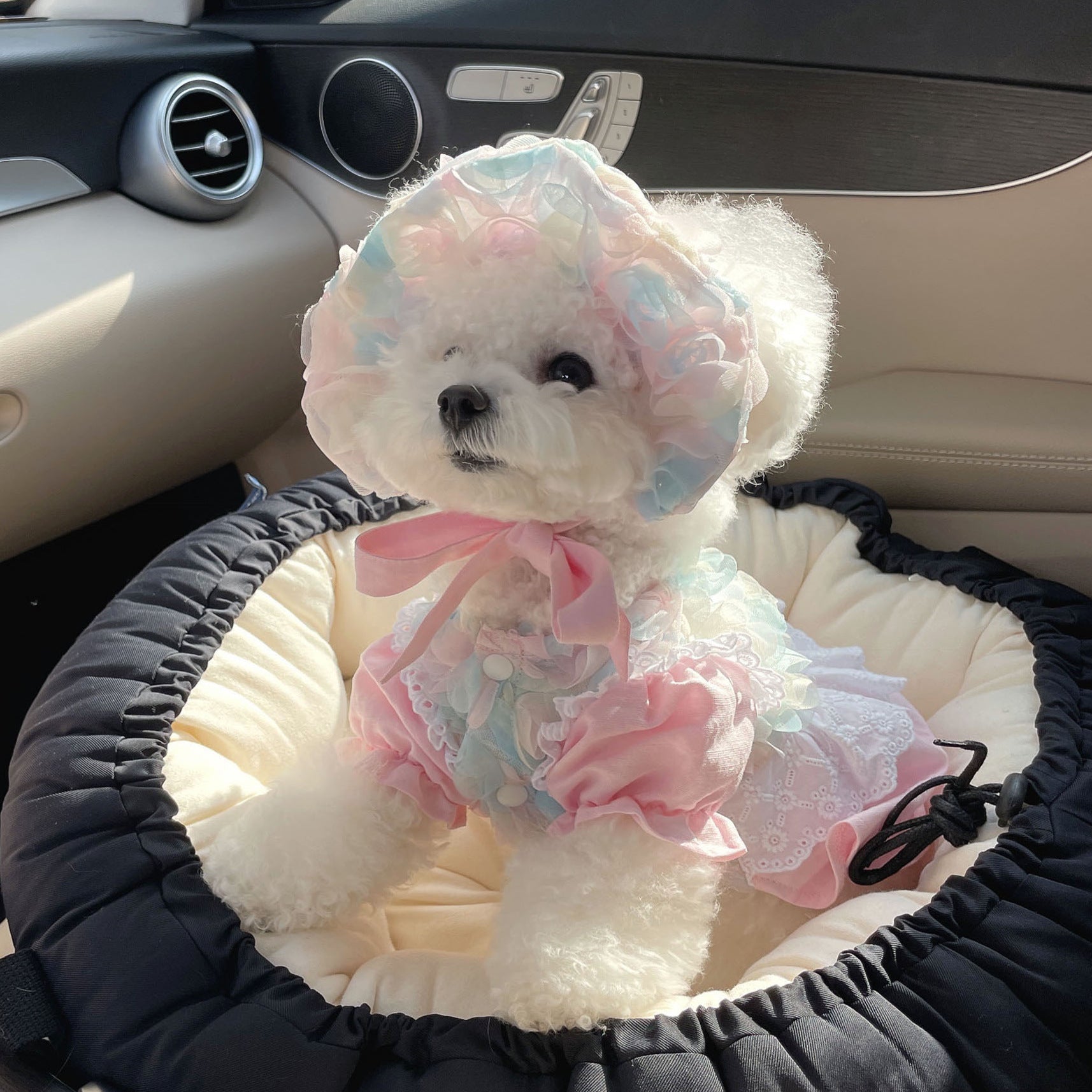 Princess Pet Dress – Embroidered Cotton Floral Dress