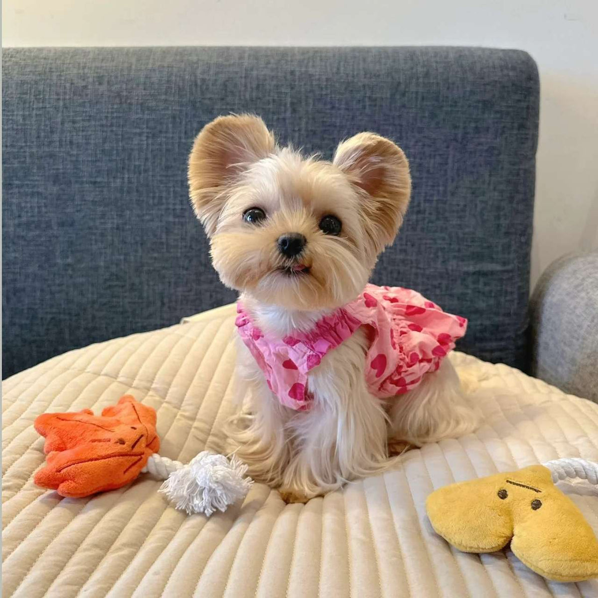 Princess Dog Dress – Cute Heart Design Pet Outfit
