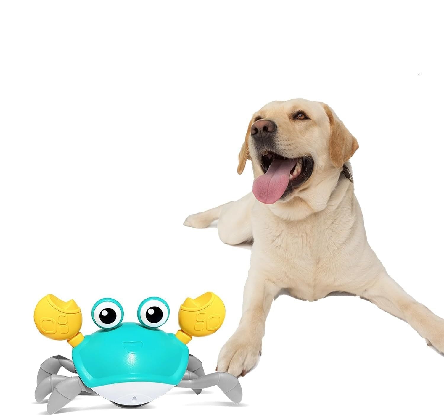 Happy Pet Crawling Crab