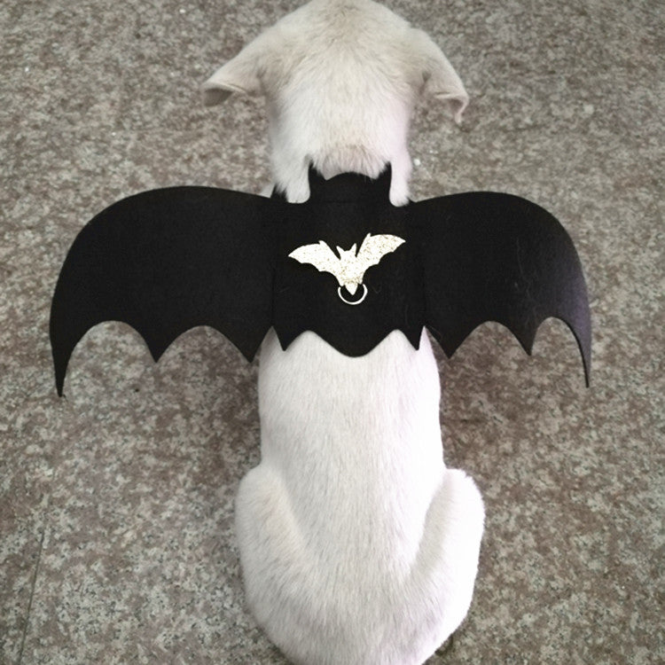 Halloween Bat Wings for Dogs & Cats – Bat Wing Chest Strap
