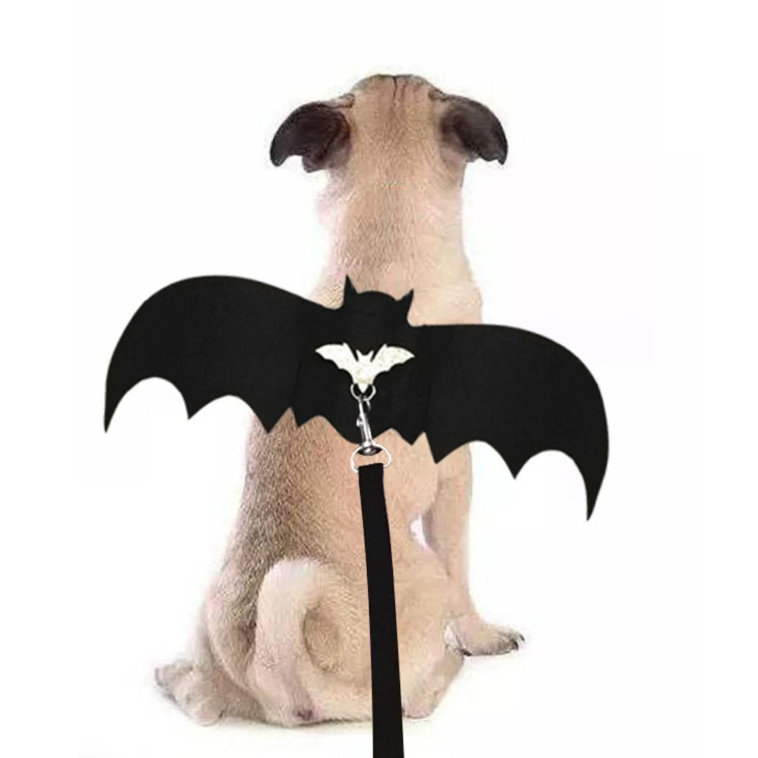 Halloween Bat Wings for Dogs & Cats – Bat Wing Chest Strap