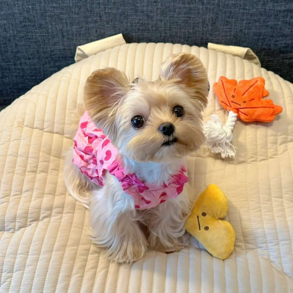 Princess Dog Dress – Cute Heart Design Pet Outfit