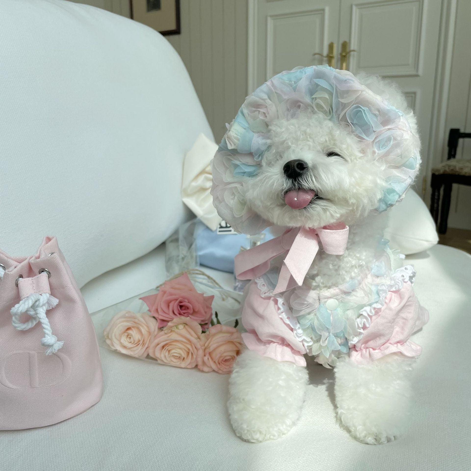Princess Pet Dress – Embroidered Cotton Floral Dress
