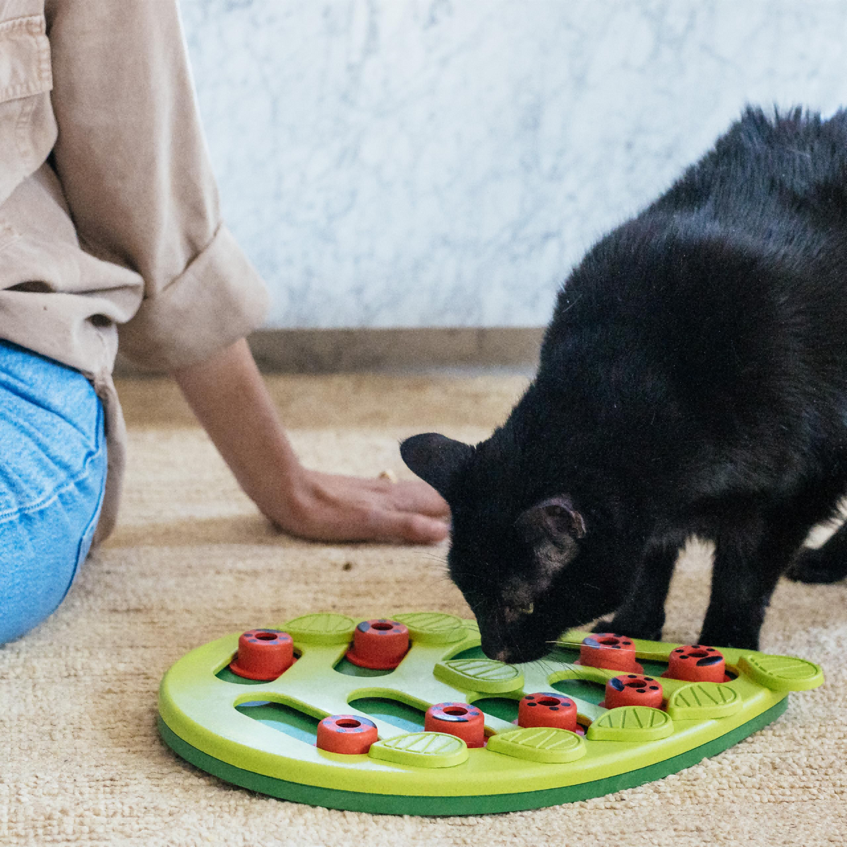 Interactive Cat Puzzle Feeder – Level 2 Treat & Slow Feeding Enrichment Toy