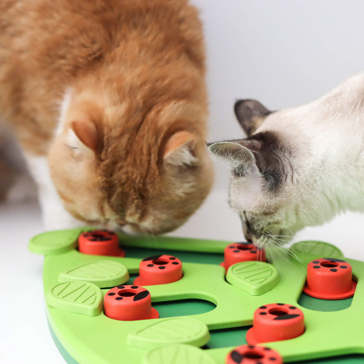 Interactive Cat Puzzle Feeder – Level 2 Treat & Slow Feeding Enrichment Toy