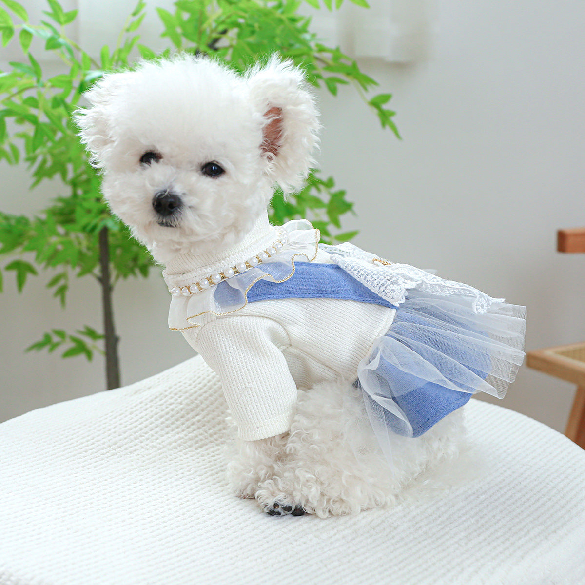 Pearl Lace Pet Dress – Cute Casual Outfit for Dogs & Cats