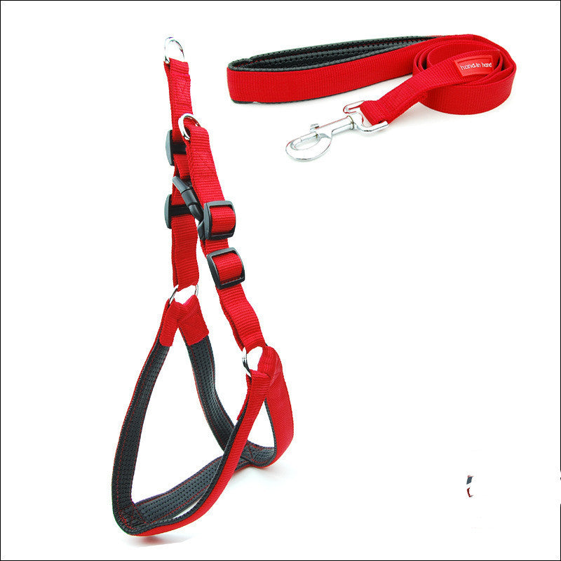 A blue dog padded harness with black and red straps and a metal buckle, designed for walking and training your dog on white background