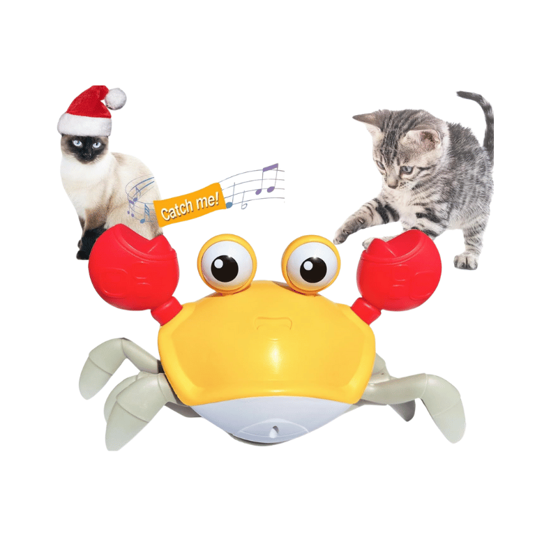 Happy Pet Crawling Crab
