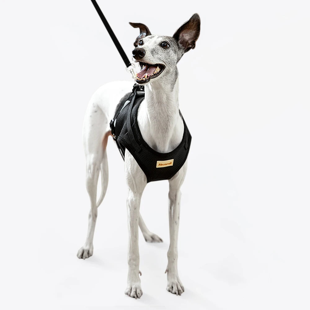 Happy Pet Happy - Reflective Safety Dog Vest Harness