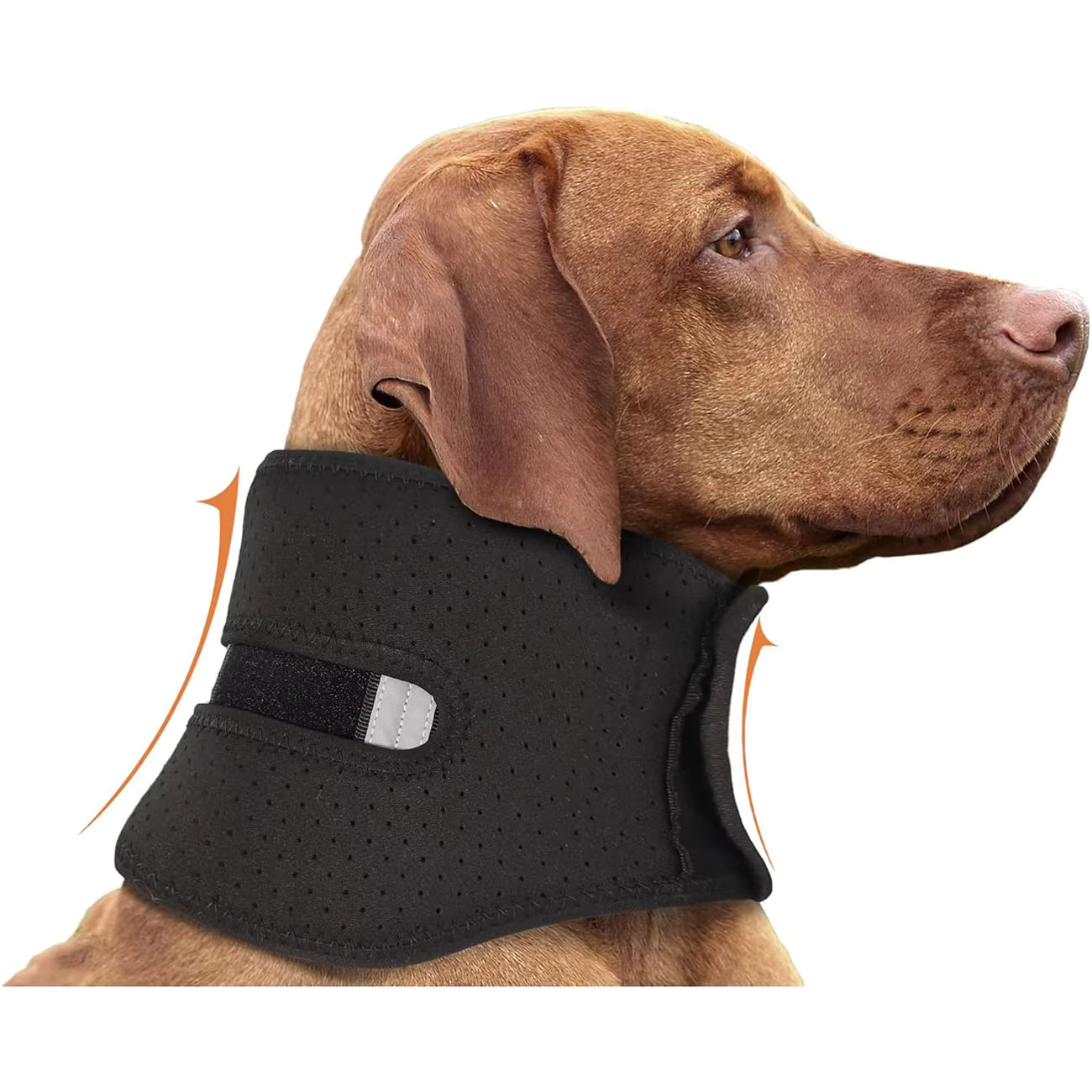 Pet Supplies Dog Neck Brace & Back Support Collar Dog wearing a black neck brace on a white background