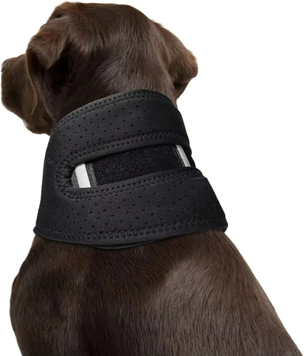 Pet Supplies Dog Neck Brace & Back Support Collar Dog wearing a black neoprene jacket on a white background