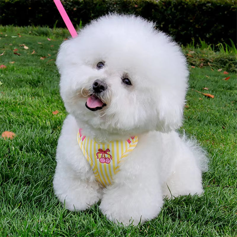 Pet Supplies Nunbell Cute Eco-Friendly Pet Harness White fluffy dog wearing a yellow harness with pink heart designs on a grassy background