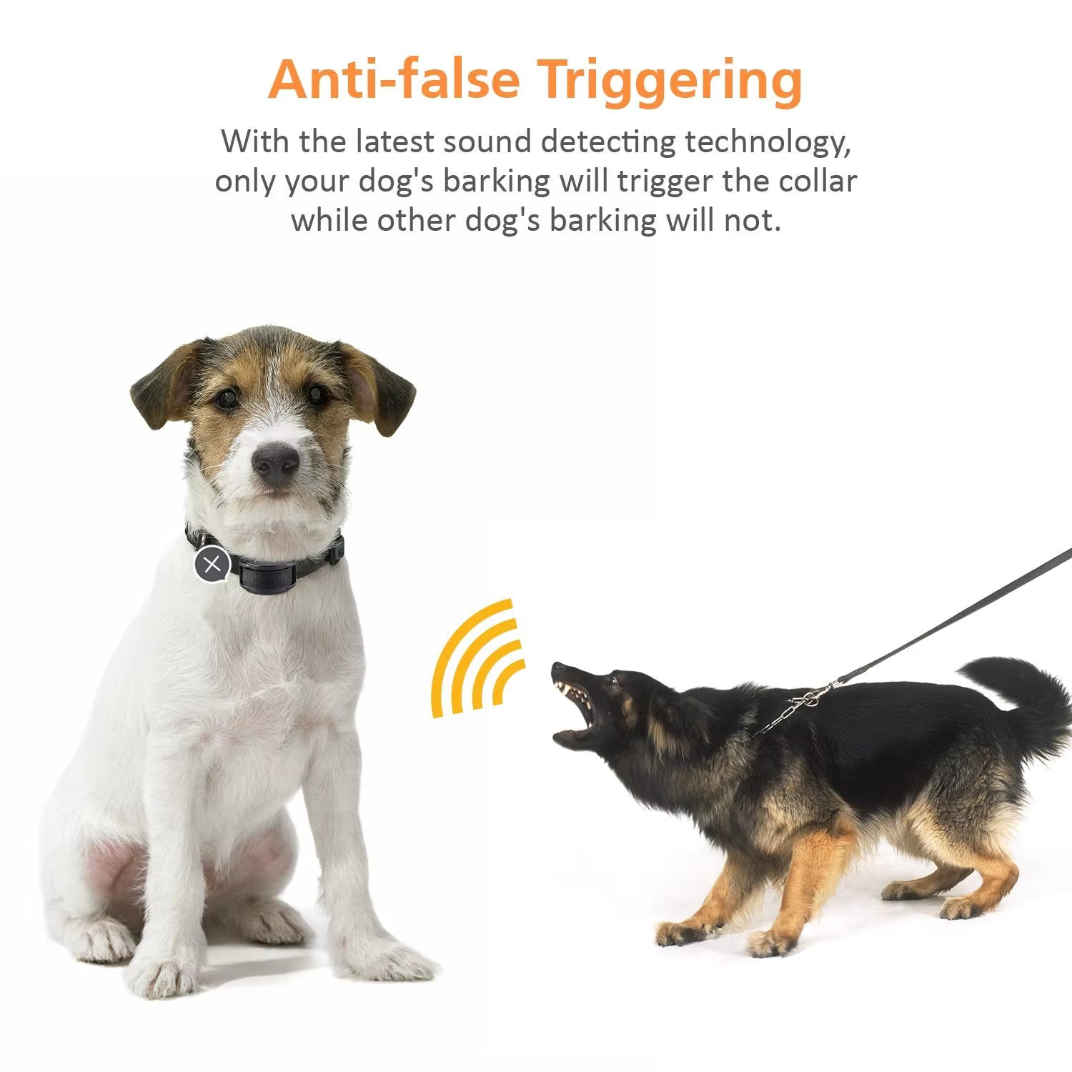 Pet Supplies Paipaitek Adjustable Dog Trainer Collar Dog wearing a collar with anti-barking technology, featuring two dogs on a white background