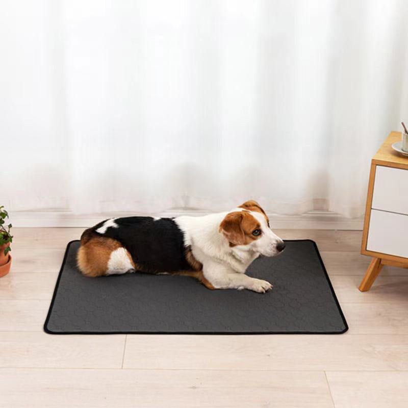 Pet Supplies Waterproof Dog Litter Mat black on the floor