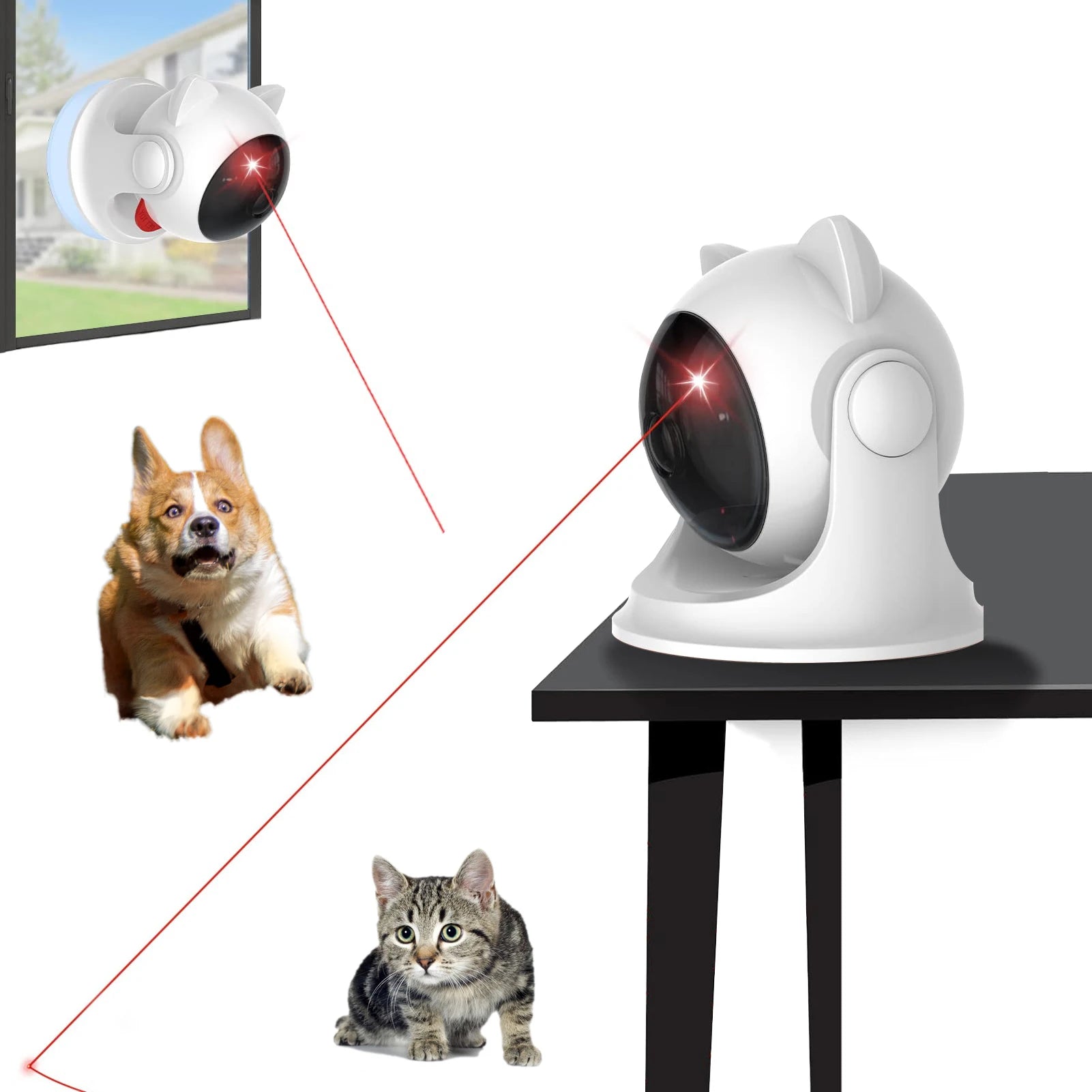 Cat and Dog Laser Interactive Toy