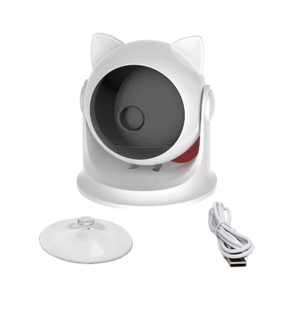 Cat and Dog Laser Interactive Toy