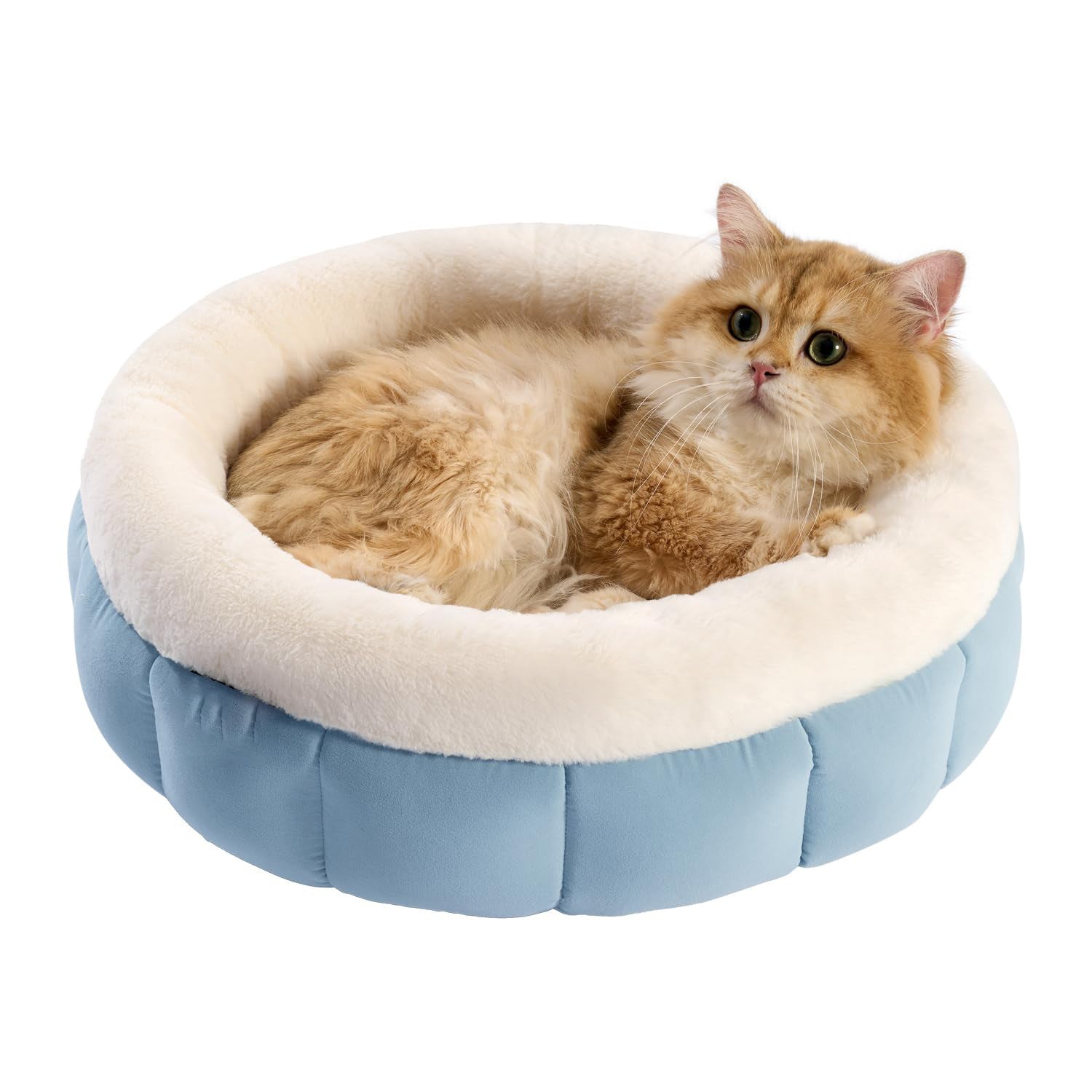 Happy Pet Donut Dog Beds