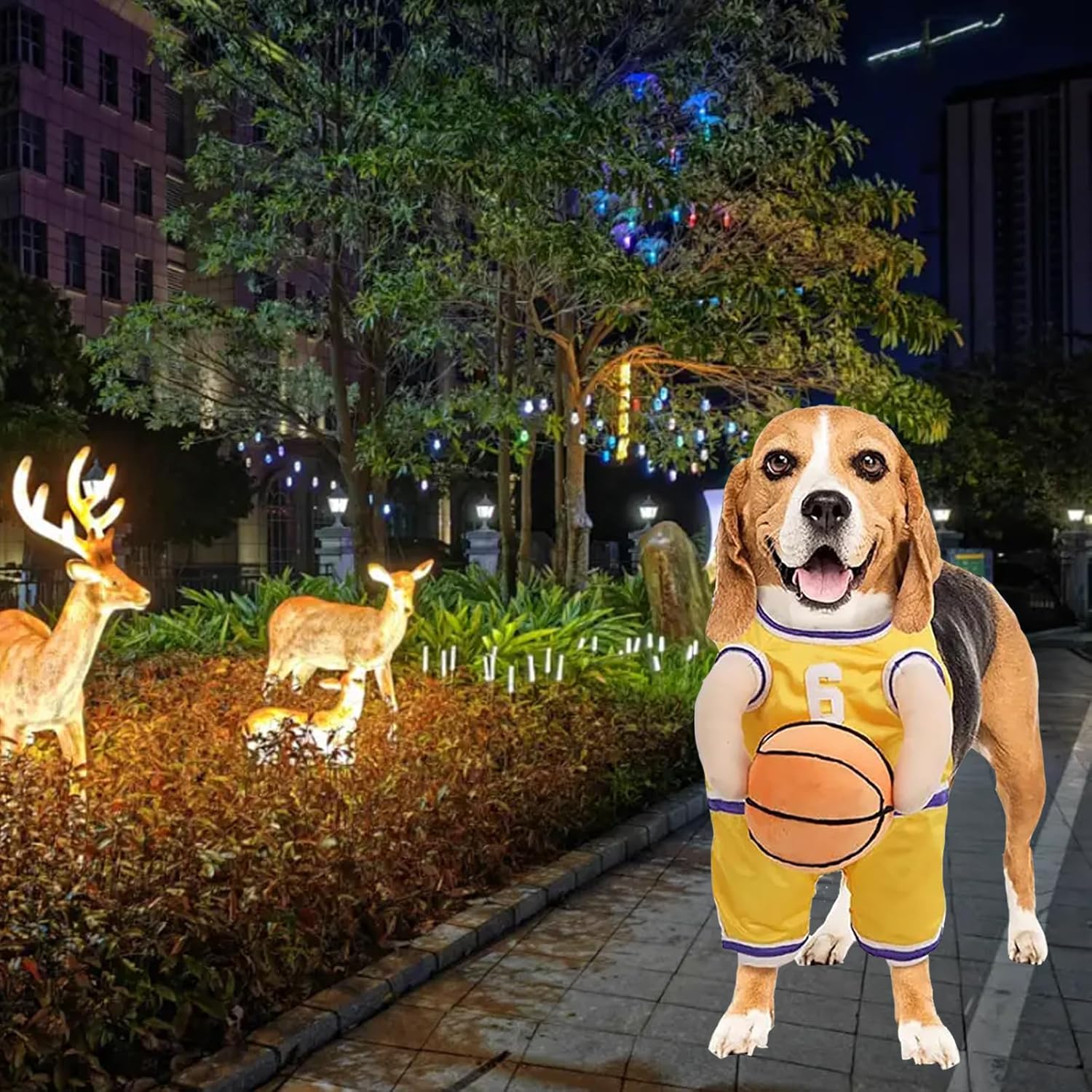 Dog Basketball Player Costume – Funny Sports Halloween Outfit