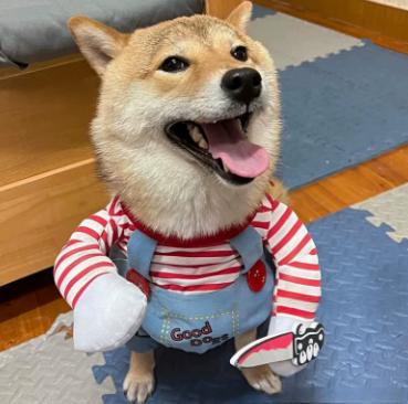 Red Halloween Dog Costume – Adjustable Scary Pet Outfit