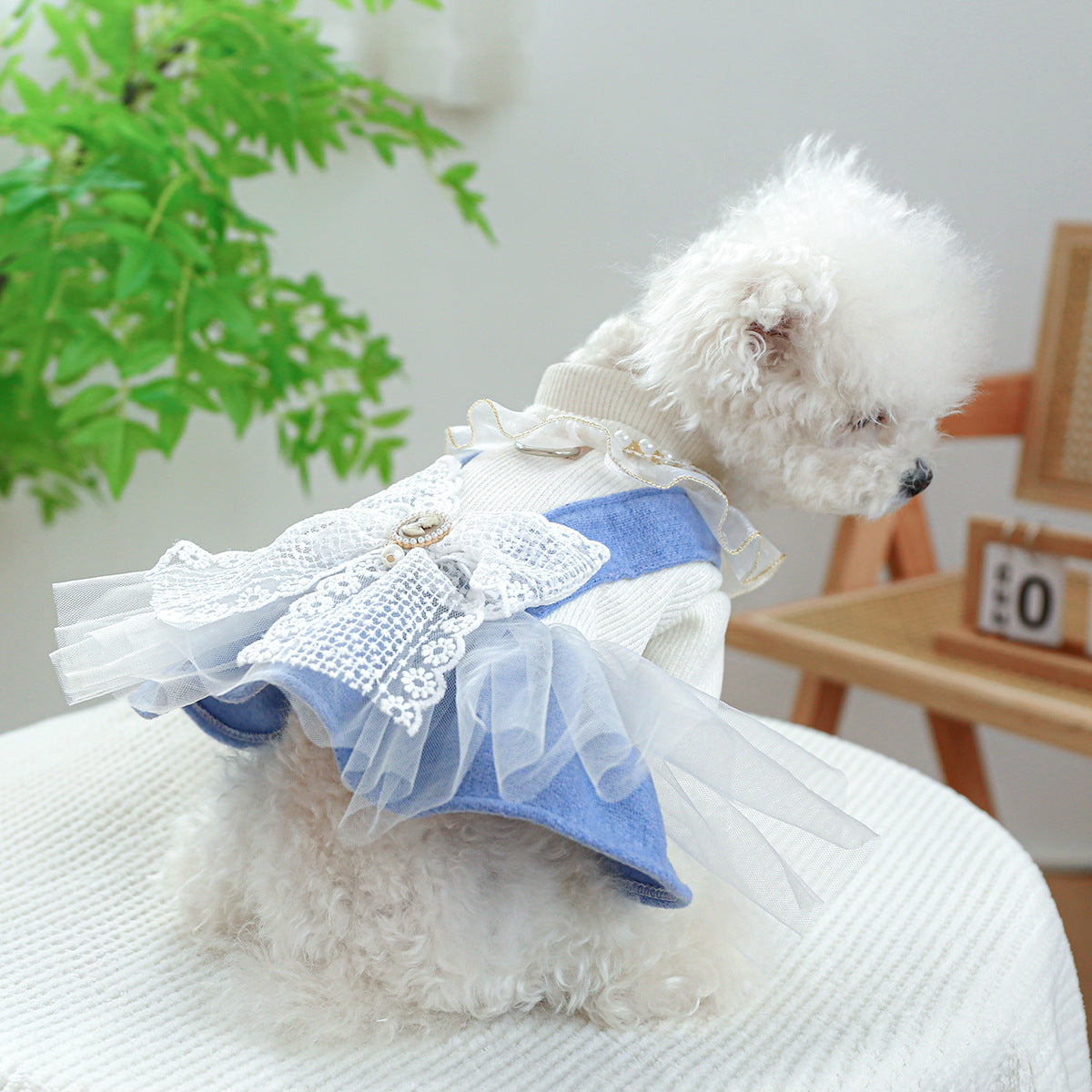 Pearl Lace Pet Dress – Cute Casual Outfit for Dogs & Cats