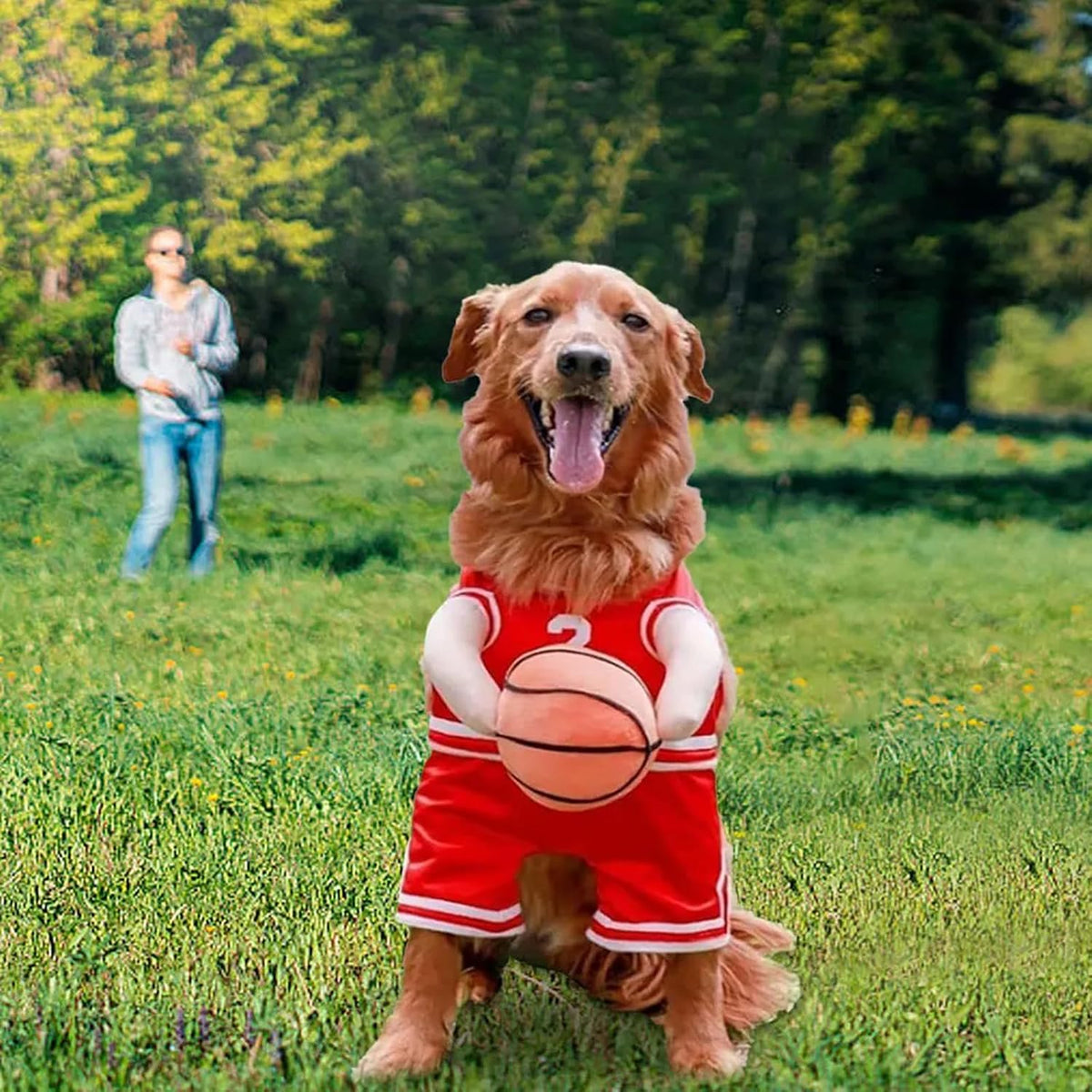Dog Basketball Player Costume – Funny Sports Halloween Outfit