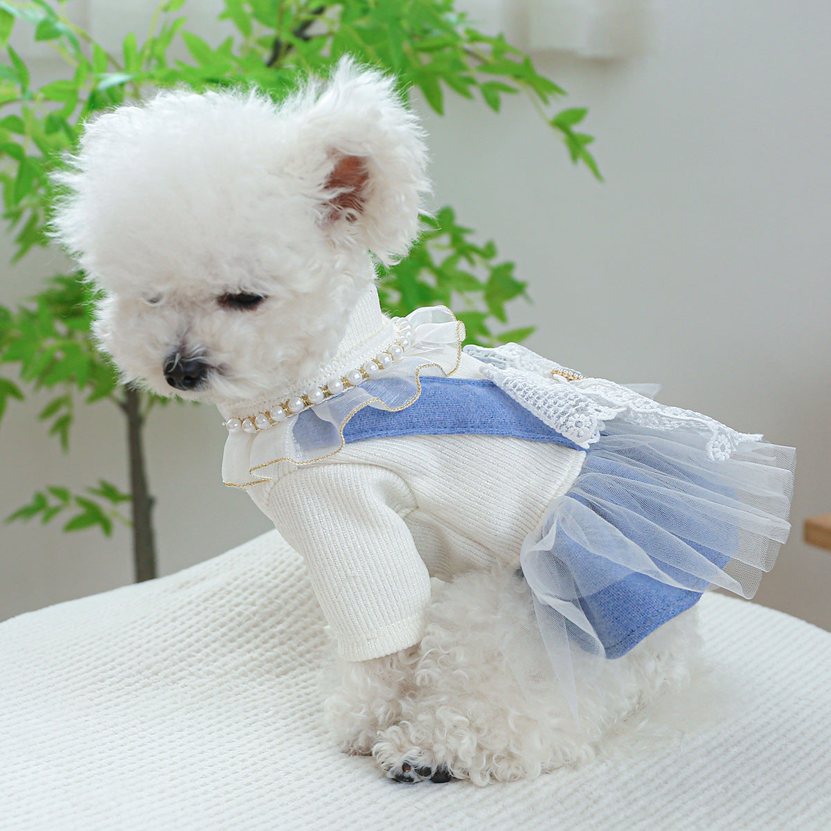 Pearl Lace Pet Dress – Cute Casual Outfit for Dogs & Cats