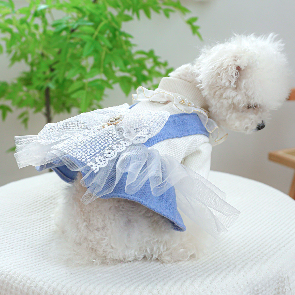 Pearl Lace Pet Dress – Cute Casual Outfit for Dogs & Cats