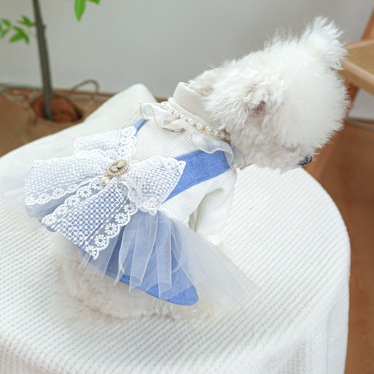 Pearl Lace Pet Dress – Cute Casual Outfit for Dogs & Cats