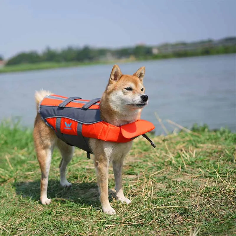 Pet Life Vest for Dogs – Adjustable Swimming & Water Safety Vest
