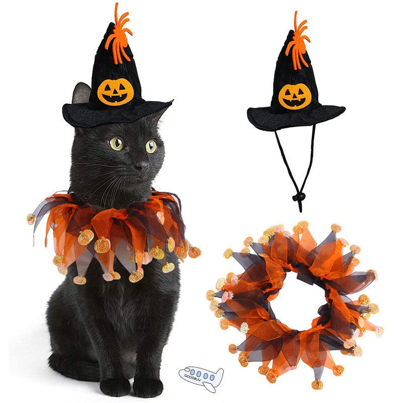 Halloween Witch Hat & Collar Set for Dogs & Cats