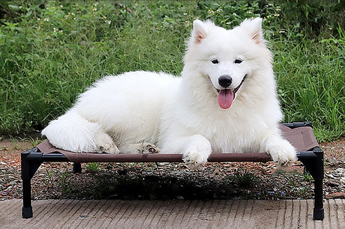 Happy Pet Washable Camp Bed