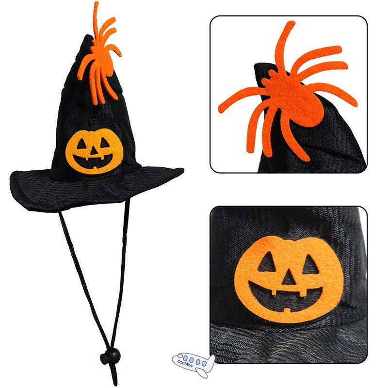 Halloween Witch Hat & Collar Set for Dogs & Cats