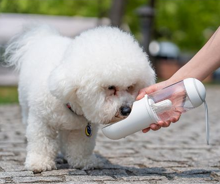 Outdoor travel water bottle for pets out cup