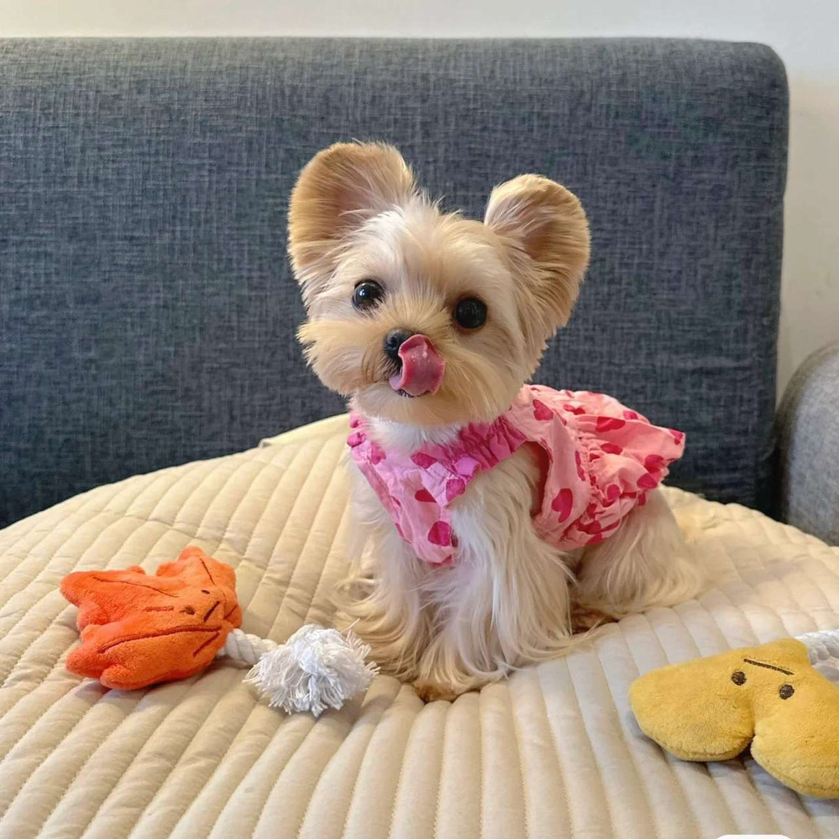 Princess Dog Dress – Cute Heart Design Pet Outfit