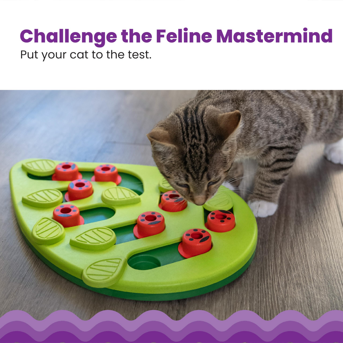 Interactive Cat Puzzle Feeder – Level 2 Treat & Slow Feeding Enrichment Toy
