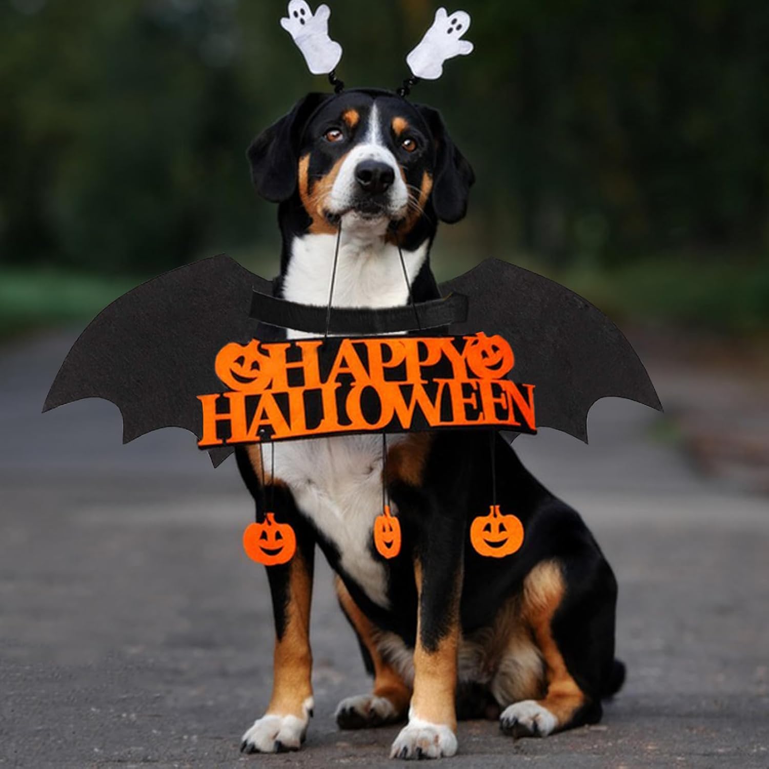 Halloween Bat Wings Costume – Luminous Skeleton Design