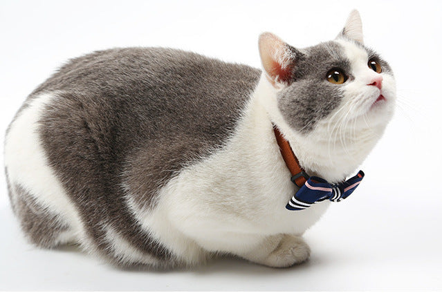 Happy Pet Happy Pet Tie