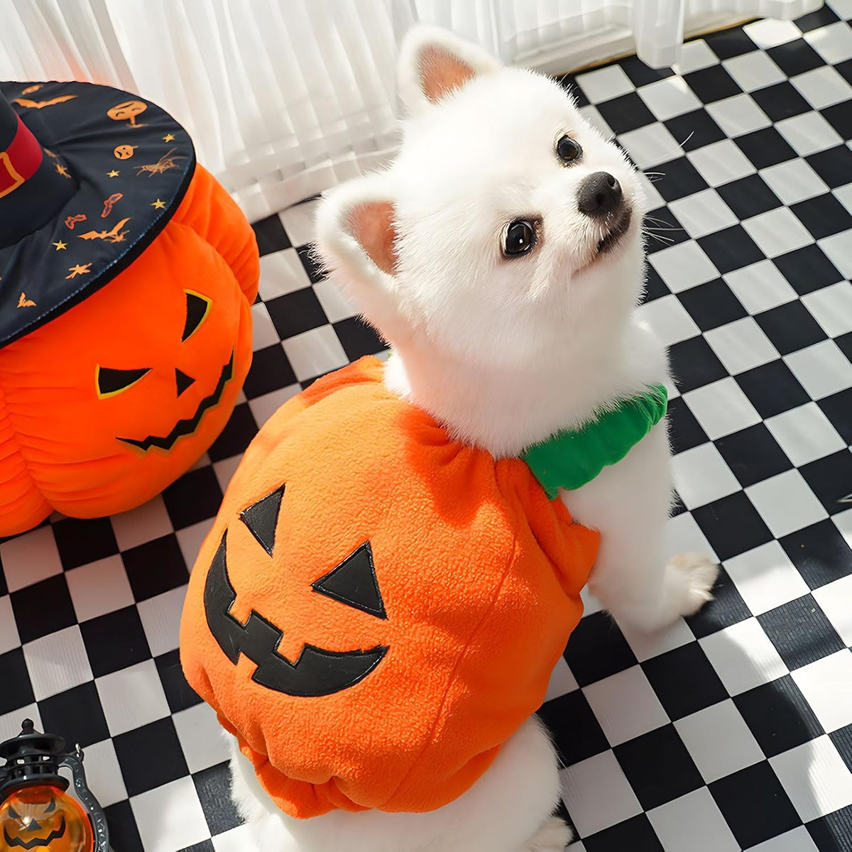 Pumpkin Halloween Pet Costume – Plush Dog & Cat Outfit