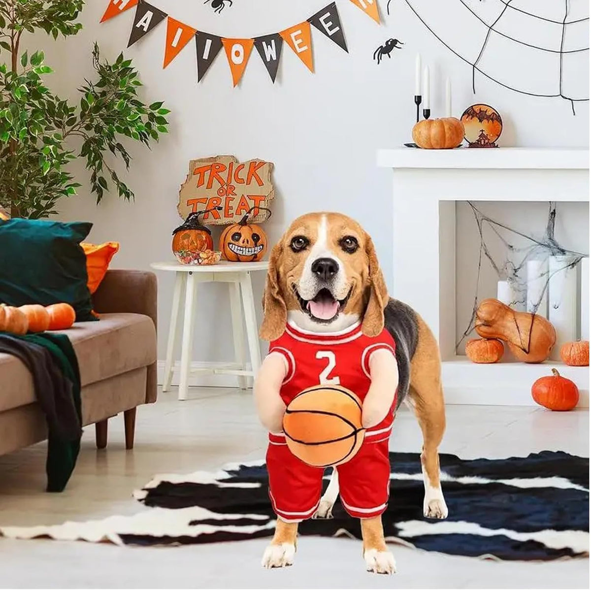 Dog Basketball Player Costume – Funny Sports Halloween Outfit