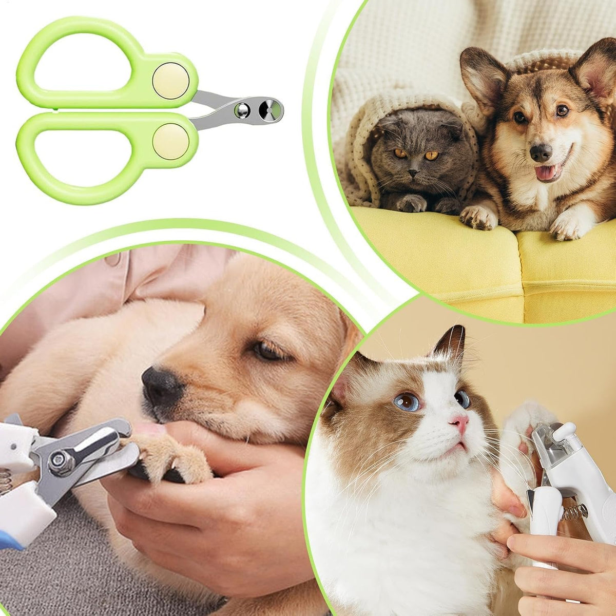 Pet Nail Clippers – Precision Cat & Small Dog Nail Trimmer