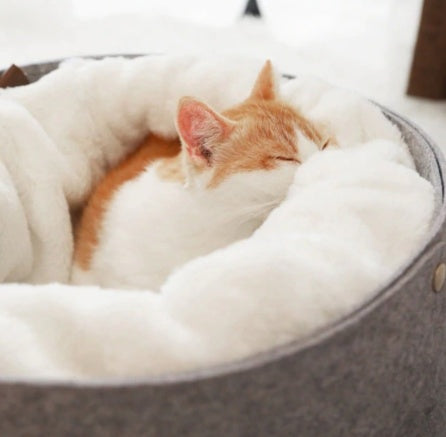 Pet Bed for Cats