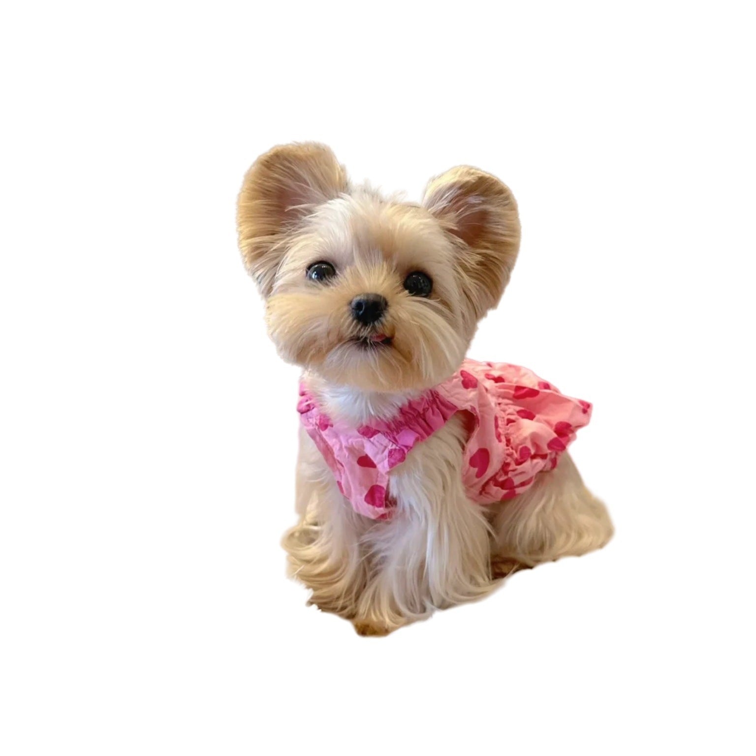 Princess Dog Dress – Cute Heart Design Pet Outfit