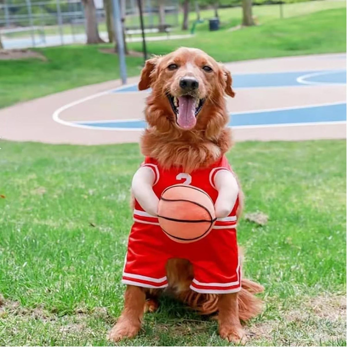 Dog Basketball Player Costume – Funny Sports Halloween Outfit