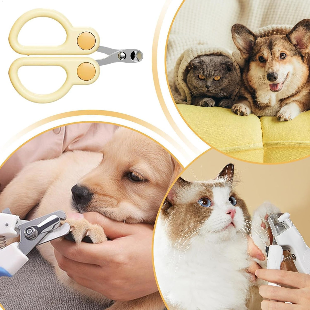 Pet Nail Clippers – Precision Cat & Small Dog Nail Trimmer
