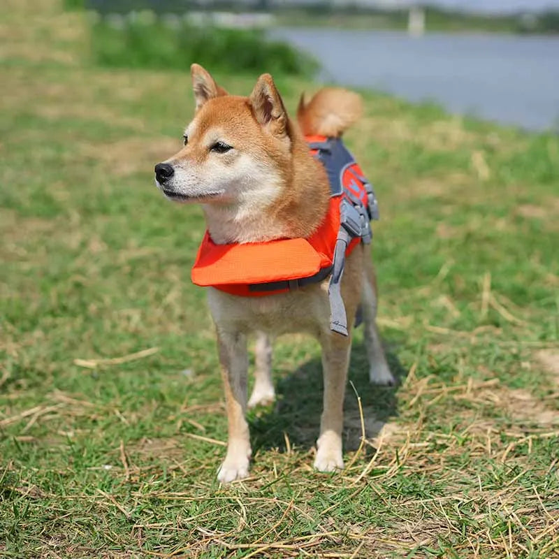 Pet Life Vest for Dogs – Adjustable Swimming & Water Safety Vest