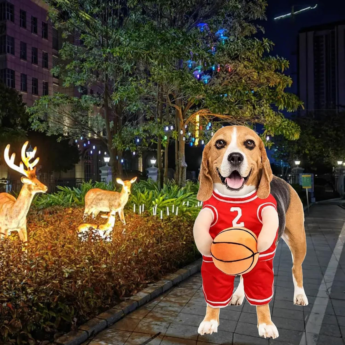 Dog Basketball Player Costume – Funny Sports Halloween Outfit